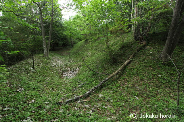 下野 小志鳥城の写真