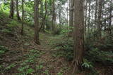 下野 小志鳥城の写真