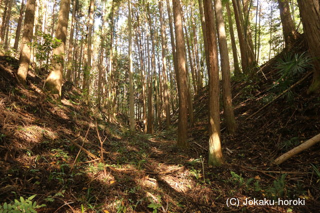 下野 久我城の写真