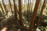 下野 久我城の写真