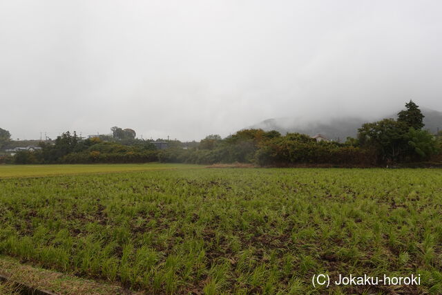 下野 黒袴藤岡城の写真
