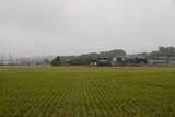 下野 黒袴藤岡城の写真