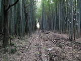 下野 御城の写真