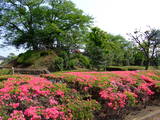 下野 壬生城の写真