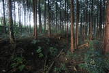 下野 右岡城の写真