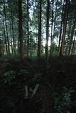 下野 右岡城の写真
