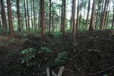 下野 右岡城の写真