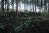 下野 右岡城の写真