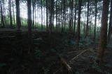 下野 右岡城の写真