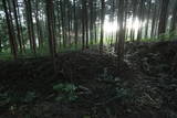 下野 右岡城の写真