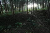 下野 右岡城の写真