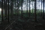 下野 右岡城の写真