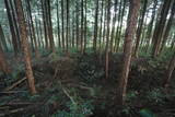 下野 右岡城の写真