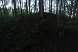 下野 右岡城の写真
