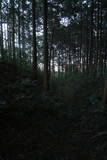 下野 右岡城の写真