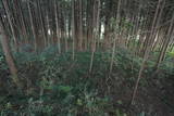 下野 右岡城の写真