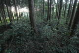 下野 右岡城の写真