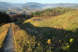 下野 皆川城の写真