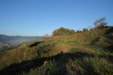 下野 皆川城の写真