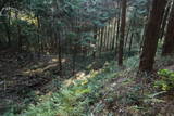 下野 皆川城の写真