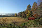 下野 皆川城の写真