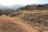 下野 皆川城の写真