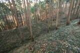 下野 皆川城の写真