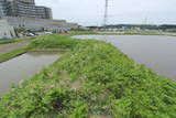 下野 水口館の写真