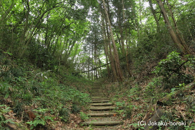 下野 森田城の写真