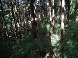 下野 茂木城の写真