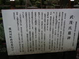 下野 武茂城の写真
