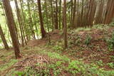 下野 生田目城の写真