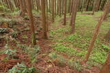 下野 生田目城の写真