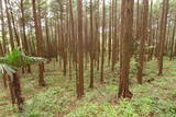 下野 生田目城の写真