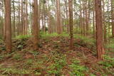 下野 生田目城の写真