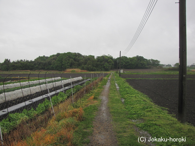 下野 中久喜城の写真