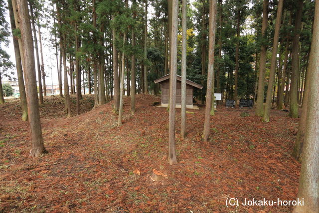 下野 中村城の写真