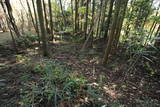 下野 西方城の写真