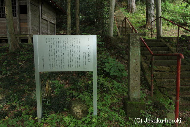 下野 野沢城の写真