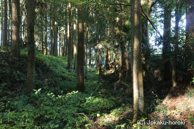 下野 大堀城の写真