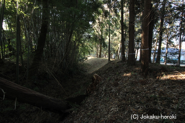 下野 大宮城(栃木市)の写真