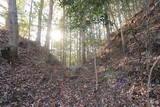 下野 大塚城の写真