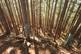 下野 大塚城の写真
