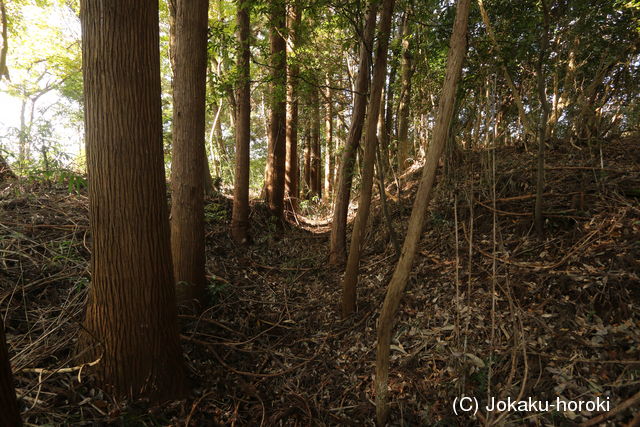 下野 ひめ城の写真