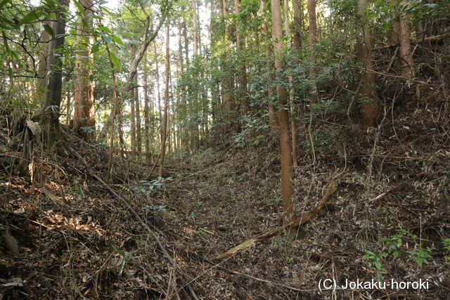 下野 大谷津城の写真