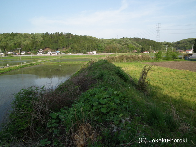 下野 大関城の写真