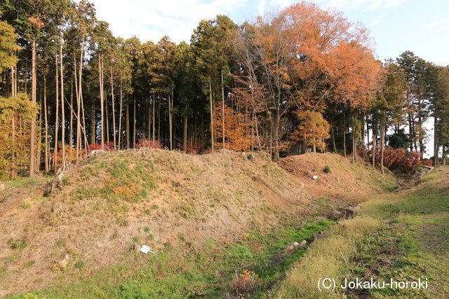 下野 岡本城の写真