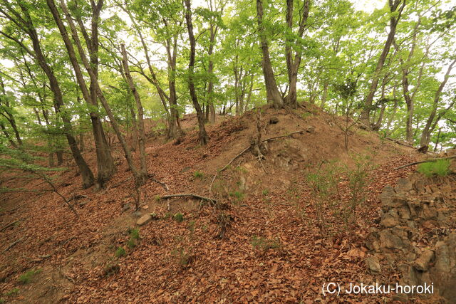 下野 小俣城の写真