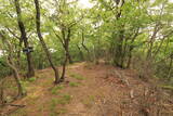 下野 小俣城の写真