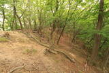 下野 小俣城の写真